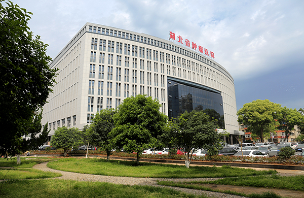Hubei Cancer Hospital specialized treatment center
