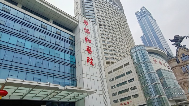 Wuhan Union Hospital Main Campus Clinical Center